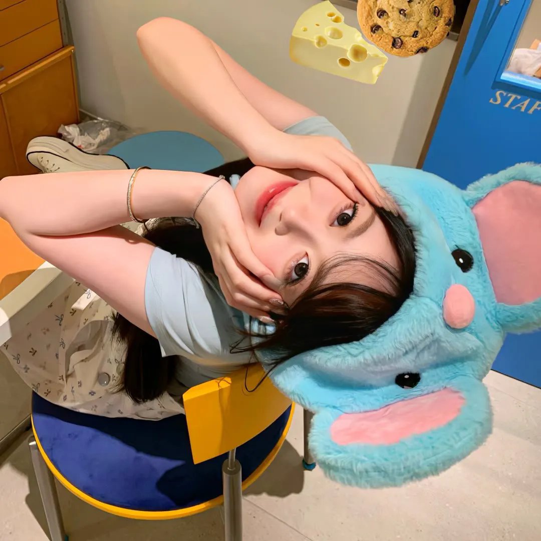 苍蝇之母